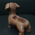 Cod241-Dog-Dachshund-Holder-2.jpeg Dog dachshund Holder