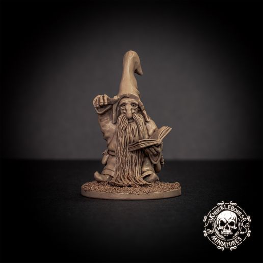 Dwarf Wizard Sorli Long-Beard