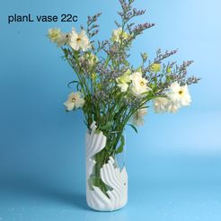vase-22c02.jpg flower vase, pot skin