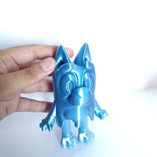 WhatsApp-Image-2023-03-08-at-9.41.22-AM-1.jpeg Joli chien bleu