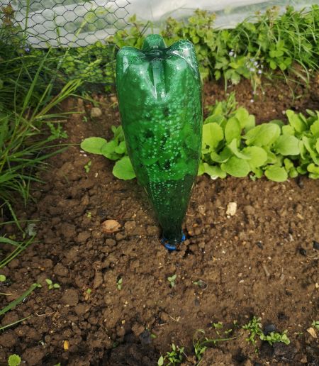 Irrigation garden from Perrier 1L Bottle