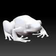 fr1.jpg Frog - realistic frog - frog toy for kids