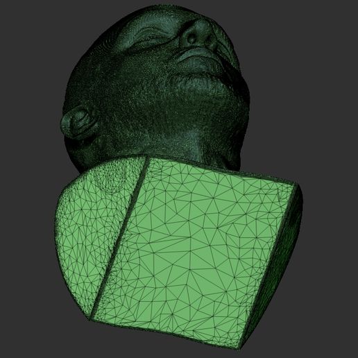 29.jpg OBJ-Datei Mac Miller-Büste für den 3D-Druck herunterladen • Design für den 3D-Druck, PrintedReality