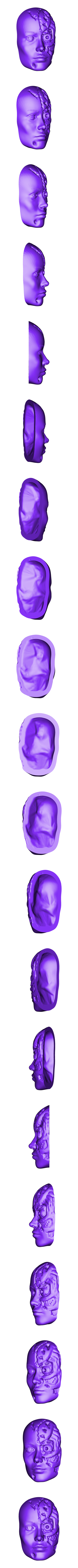 face6 damagedNFO.stl Terminator - ARRIVAL - by SPARX