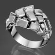 snapshot-51.png anneau organique