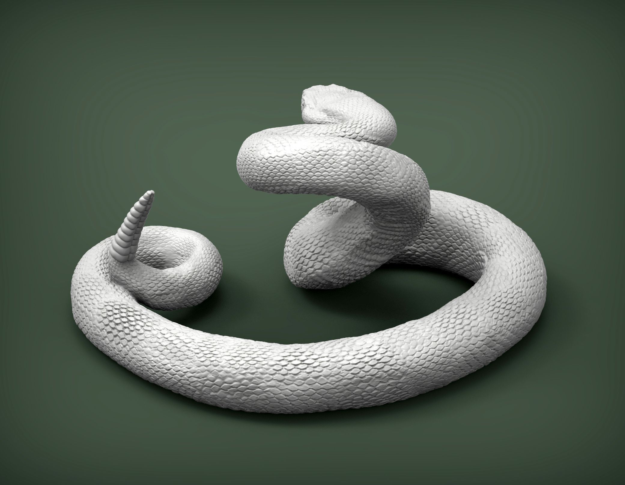 Файл 3D Rattlesnake 3D print model・Модель 3D-принтера для скачивания・Cults