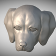 Zrzut-ekranu-2025-06-13-220109.png 用于 3D 打印的比格犬头部小狗