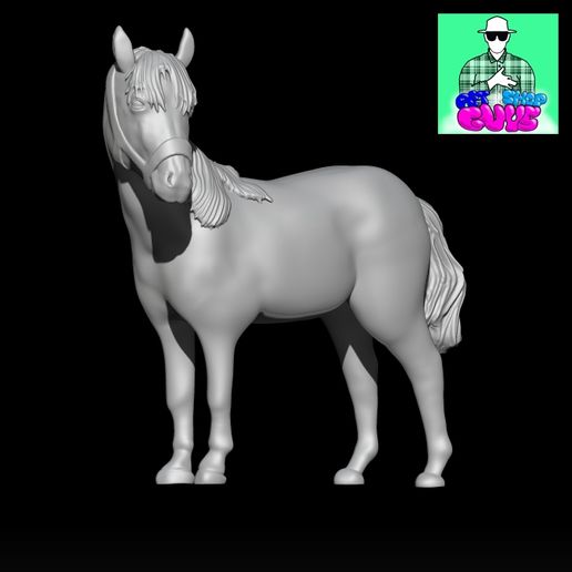 Horse with Halter