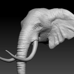 elefante.jpg Archivo STL Elefante・Objeto de impresión 3D para descargar, Saigojigoart