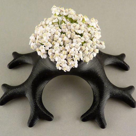 Binary_Roots_-_34_Flower_display_large.jpg Racines binaires