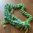 Bamboo Dragon Cinderwing3D X BambuLab