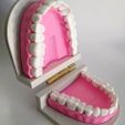 117170186_317851356258459_2934578178262544273_o.jpg dental model dental model dental teeth denture