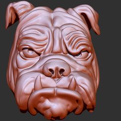 2-ZBrush-Document.jpg Hunde-BUST