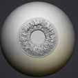 4.jpg Human eye