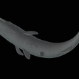 Barracuda-huba-trophy-24.png fish great barracuda statue detailed texture for 3d printing