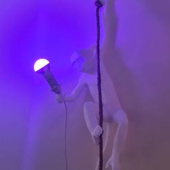 Monkey Lamp