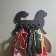 20221126_201439.jpg wall mounted dog leash