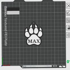 Captura-de-pantalla-2024-04-30-112050.jpg MAX (DOG TAG)