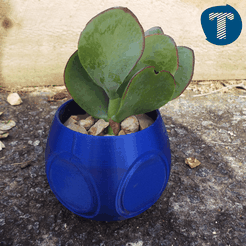real-min.png Patterned Succulent Planter