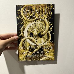 IMG_5575.jpg House of Flame and Shadow - HueForge Book Cover Print