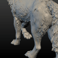 Wolf_Pose-13.png Wolf Figure