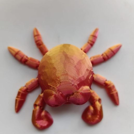 a049adbb-5352-42f1-a8c0-6b0b01e2f59d.jpeg Crabe flexible