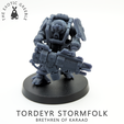 Pose-1-Front.png 3D-Datei Sturmvolk von Tordeyr・Modell für 3D-Drucker zum Herunterladen