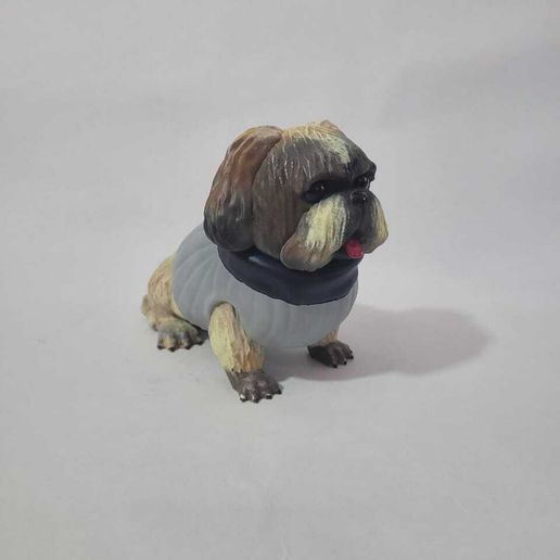 WhatsApp-Image-2024-08-18-at-12.17.10-PM-1.jpeg Shih Tzu