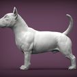bull-terrier1.jpg bull terrier 3D print model