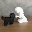 WhatsApp-Image-2023-01-10-at-13.42.32.jpeg Girl and her Shih tzu (wavy hair) for 3D printer or laser cut