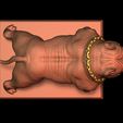6.jpg American Bully Pocket