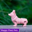 IMG_3046.jpg STL file Corgi dog print in place articulated flexi toy・Design to download and 3D print