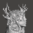 Screenshot-2025-03-16-231013.png Tree Elf