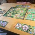 IMG_5053.jpeg Juego de mesa Selva Negra Reinserta