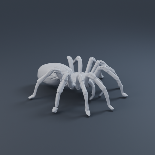Fantasy Spider 3D printable STL miniature