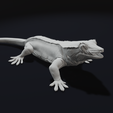 Lick1.png Crested Gecko Lizard Pet