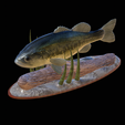 bass-na-podstavci-13.png bass underwater statue detailed texture for 3d printing