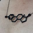 IMG_5450.jpeg Estradiol Molecule Necklace
