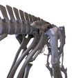 7.jpg Iguanodon: complete skeleton