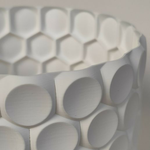 IMG_20240125_113241.jpg Maceta01