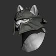 ZGrab02.jpg Dragon Age Helmet Cat