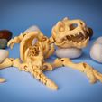 Dino_Skeleton_04.jpg STL file Flexi Dino Skeleton・3D printable design to download