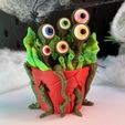 IMG_2131.jpg Planta de Monstro V1