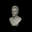 13.jpg Robert Downey 3D portrait sculpture