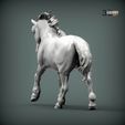 Percheron-running5.jpg Percheron läuft 3D-Druckmodell