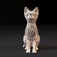 10007.jpg Cat Voronoi