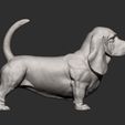 basset-hound13.jpg 3D-Datei Basset Hound 3D-Druckmodell・3D-druckbares Modell zum Herunterladen