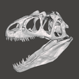 Screenshot-41.png Allosaurus dinosaur skull