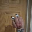 IMG_8043.jpg Hand Puppet Eyes