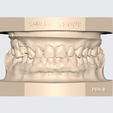 Captura-de-pantalla-2024-02-19-232628.png ARTICULATED UPPER AND LOWER DENTAL MODEL (13)